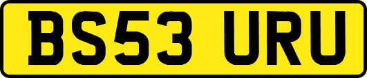 BS53URU