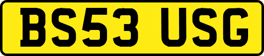 BS53USG