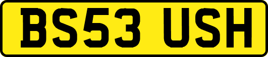 BS53USH
