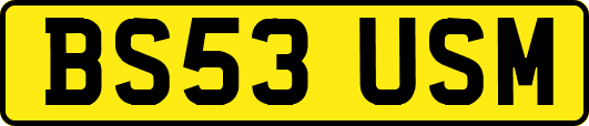 BS53USM