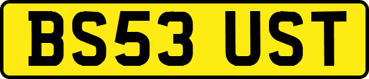 BS53UST