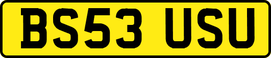 BS53USU