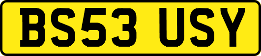 BS53USY