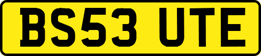 BS53UTE