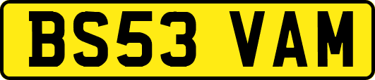 BS53VAM