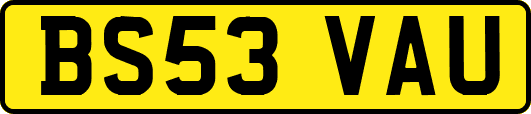 BS53VAU