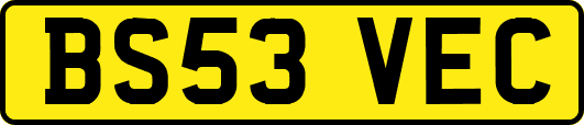 BS53VEC