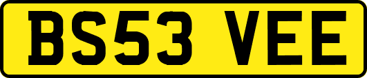 BS53VEE