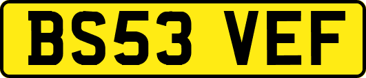 BS53VEF