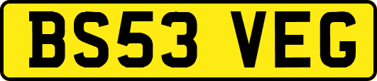 BS53VEG