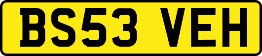 BS53VEH