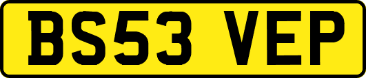 BS53VEP