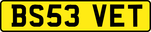 BS53VET