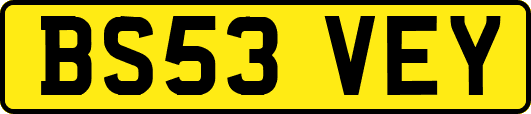 BS53VEY