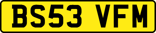 BS53VFM