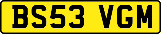 BS53VGM