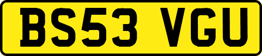 BS53VGU