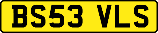 BS53VLS