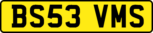 BS53VMS