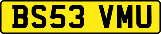 BS53VMU