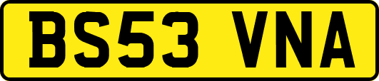 BS53VNA