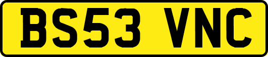 BS53VNC