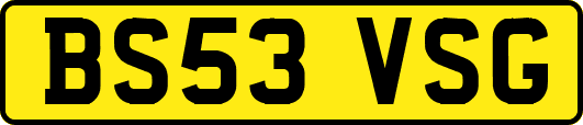 BS53VSG
