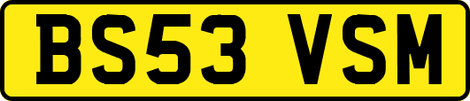 BS53VSM