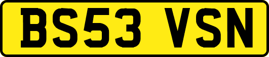 BS53VSN
