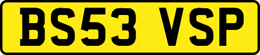 BS53VSP