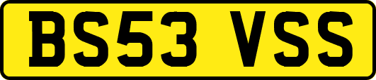 BS53VSS
