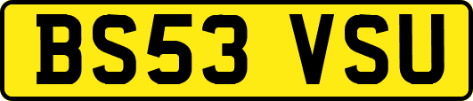 BS53VSU