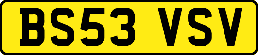 BS53VSV