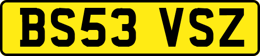 BS53VSZ