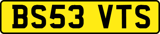 BS53VTS
