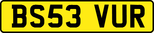 BS53VUR