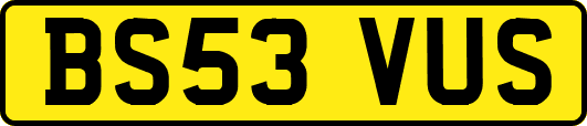 BS53VUS