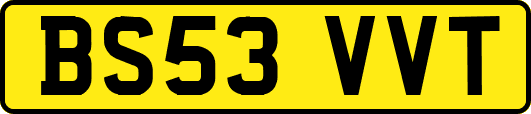 BS53VVT