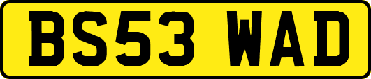 BS53WAD