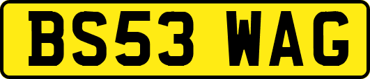 BS53WAG