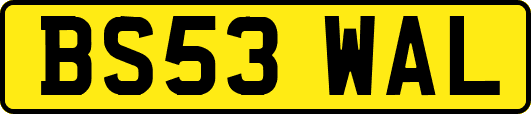 BS53WAL