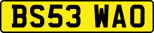 BS53WAO