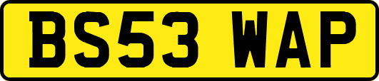 BS53WAP