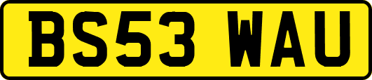 BS53WAU