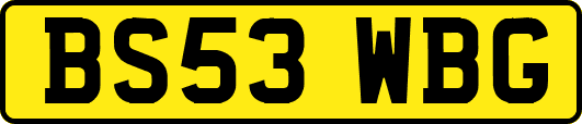 BS53WBG