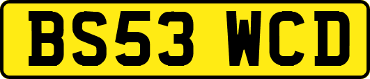 BS53WCD