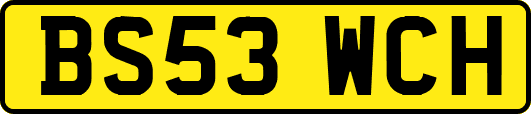 BS53WCH