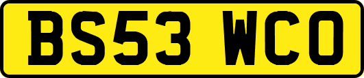 BS53WCO
