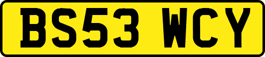 BS53WCY