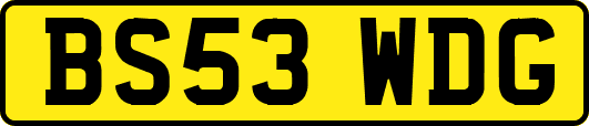 BS53WDG